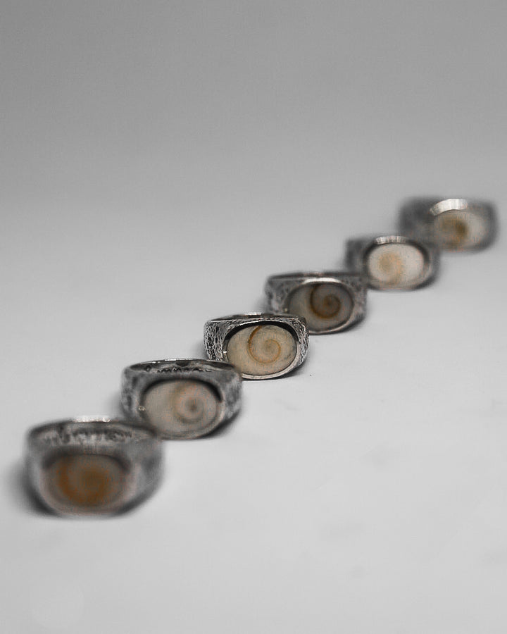 Eye of Shiva Shell Ring