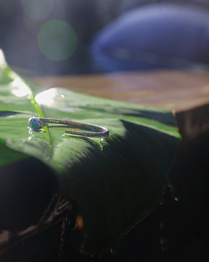 Snake Bracelet