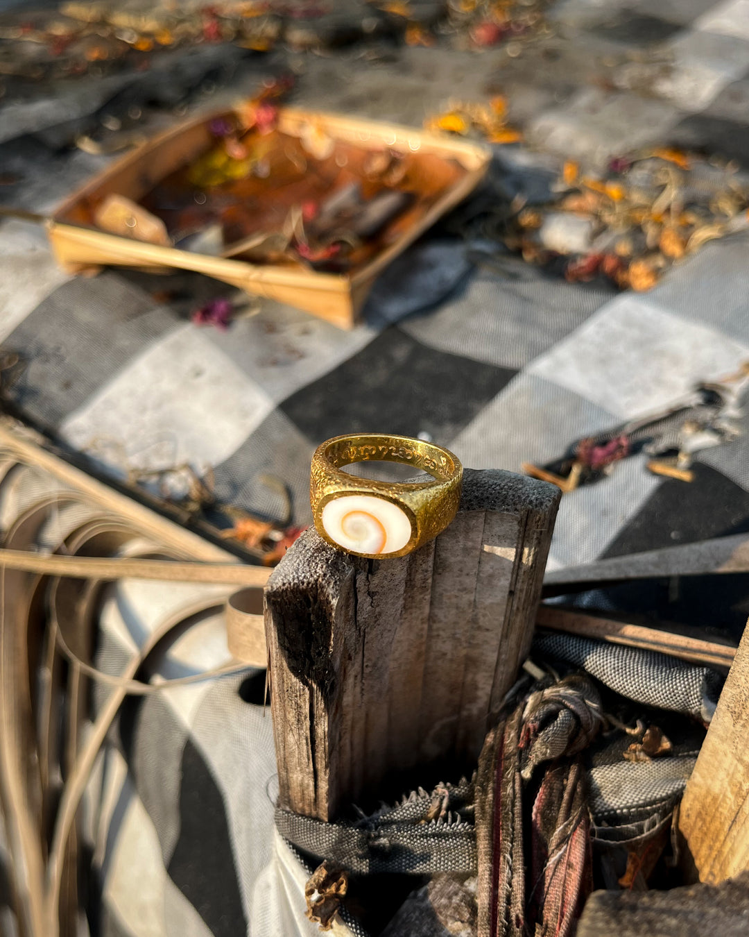 Eye of Shiva Shell Ring (Gold Plated)